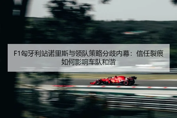xiong-ya-li-zhan-nuo-li-si-yu-ling-dui-ce-lve-fen-qi-nei-mu-xin-ren-lie-hen-ru-he-ying-xiang-che-dui-he-xie-2-742.jpg
