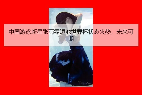 zhong-guo-you-yong-xin-xing-zhang-yu-fei-duan-chi-shi-jie-bei-zhuang-tai-huo-re-wei-lai-ke-qi-3-302.jpg