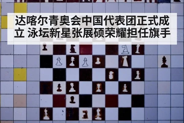 达喀尔青奥会中国代表团正式成立 泳坛新星张展硕荣耀担任旗手