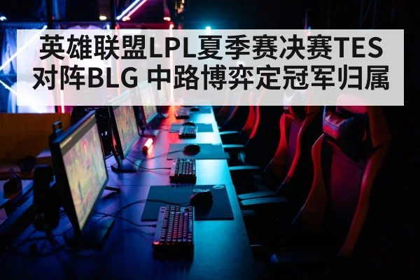 英雄联盟LPL夏季赛决赛TES对阵BLG 中路博弈定冠军归属