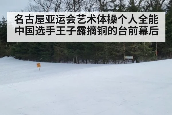 名古屋亚运会艺术体操个人全能中国选手王子露摘铜的台前幕后